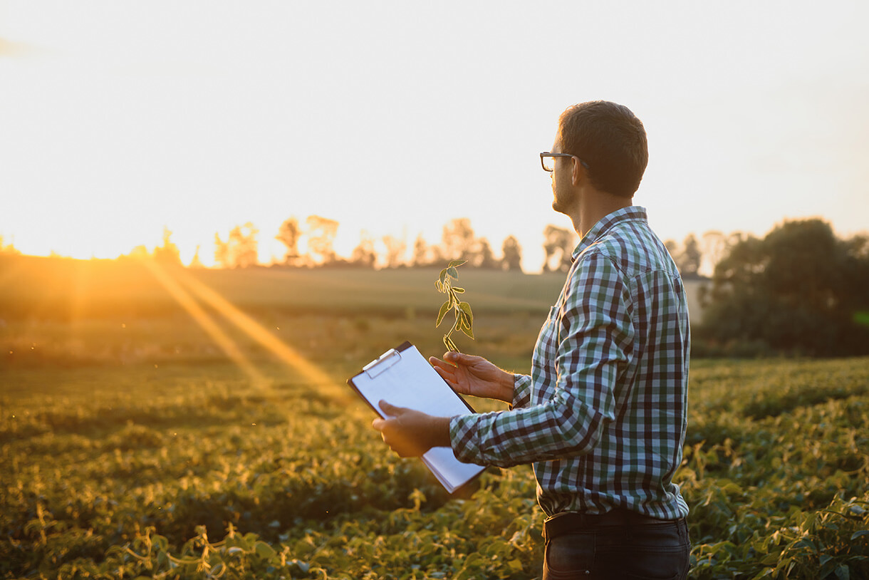 Sachverständige und Gutachten Landwirtschaft